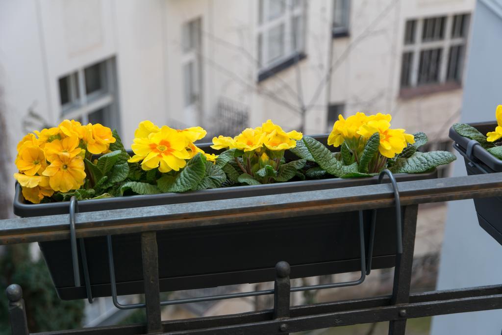 Decadent Art Deco Balcony Apartment In Old Town Prag Exteriör bild